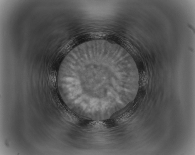 X0000097860427200804041532