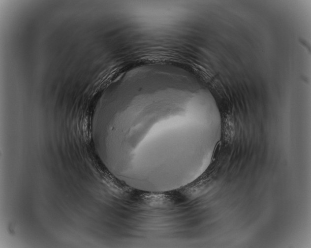 X0000097860428200804041532