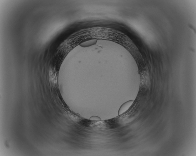 X0000097860431200804041532