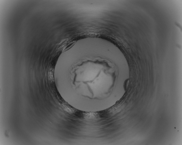 X0000097860432200804041532