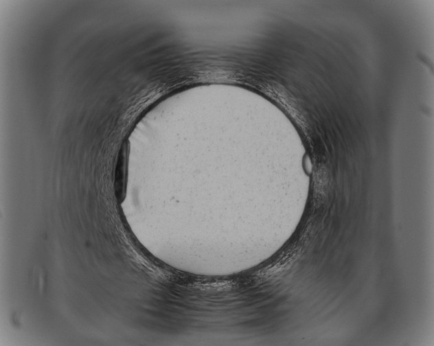 X0000097860433200804041532