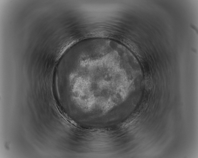 X0000097860434200804041532