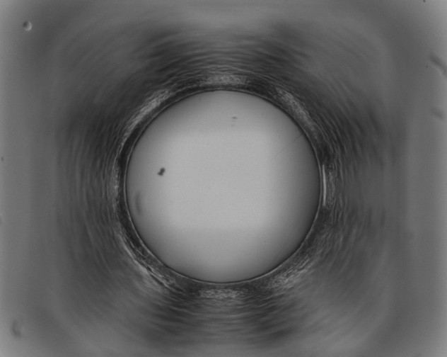 X0000097860435200804041532