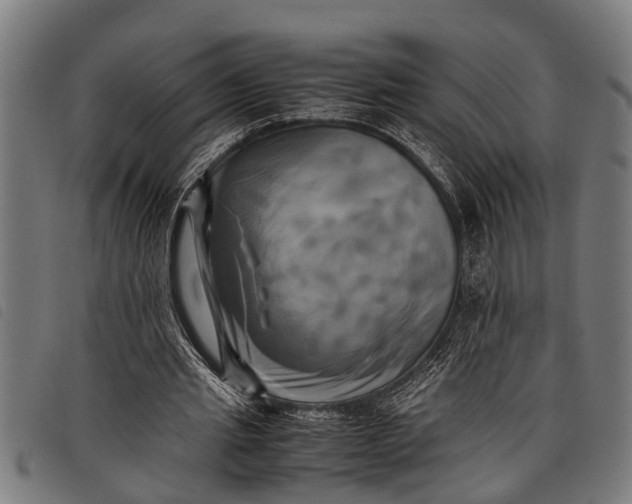 X0000097860437200804041532