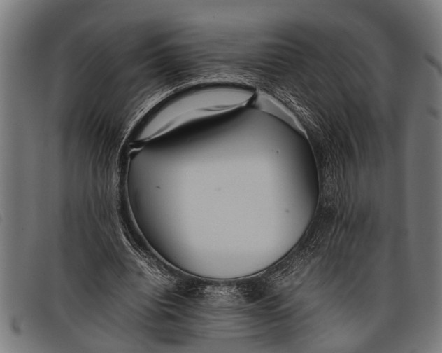 X0000097860440200804041532