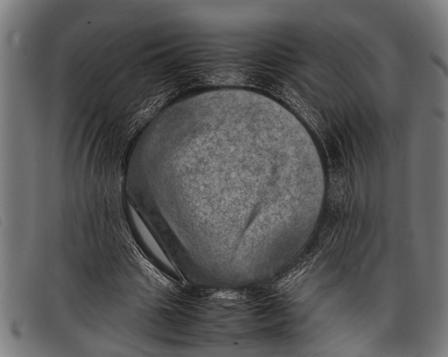 X0000097860441200804041532