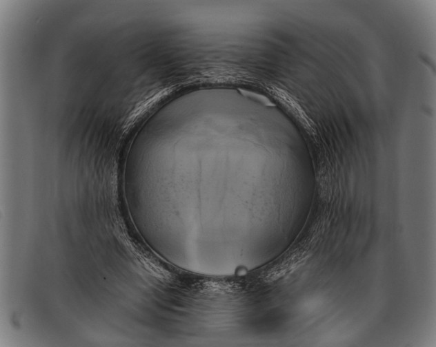 X0000097860442200804041532