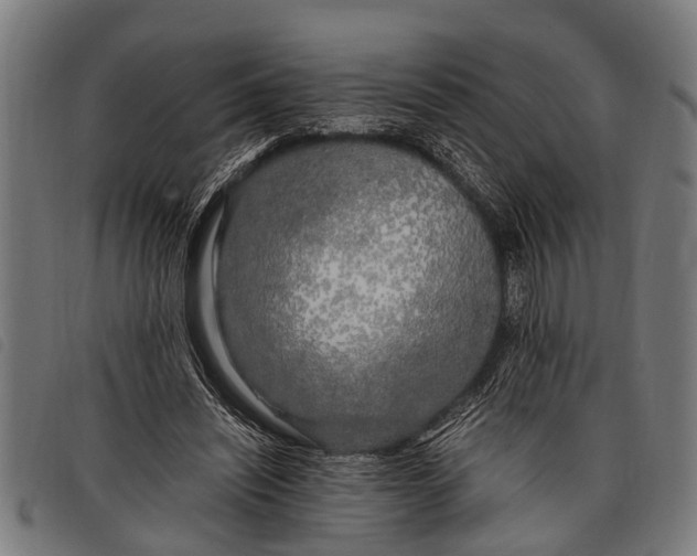 X0000097860444200804041532