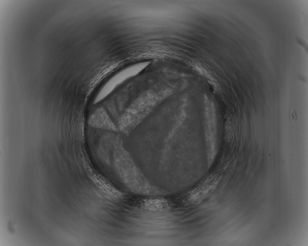 X0000097860446200804041532