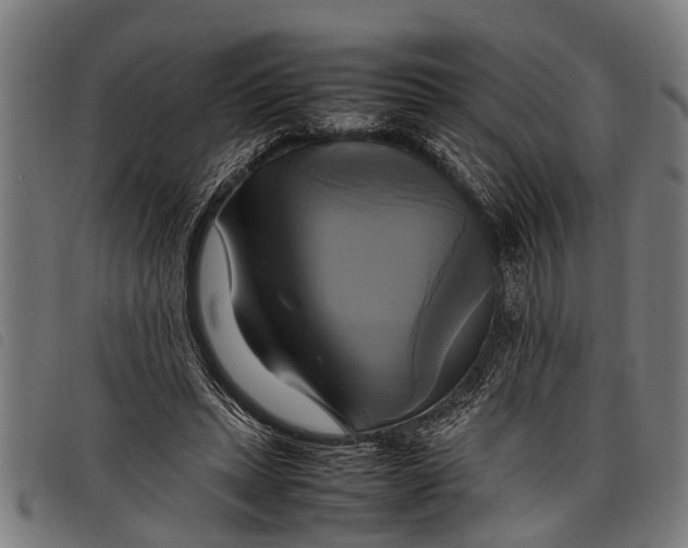 X0000097860447200804041532