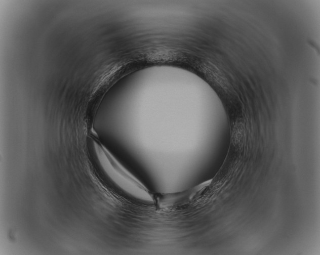 X0000097860448200804041532