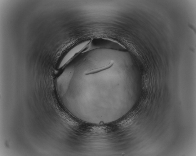 X0000097860450200804041532