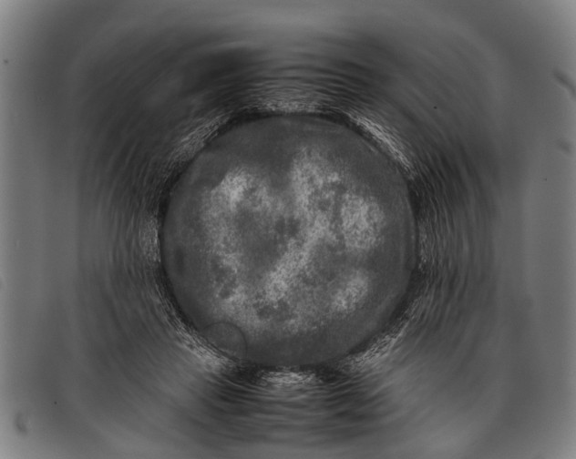 X0000097860453200804041532