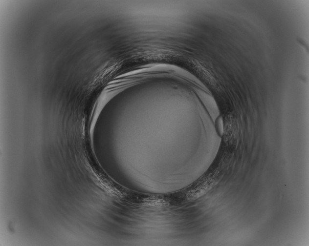 X0000097860454200804041532