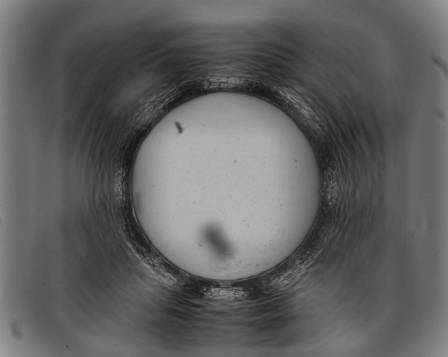 X0000097860455200804041532