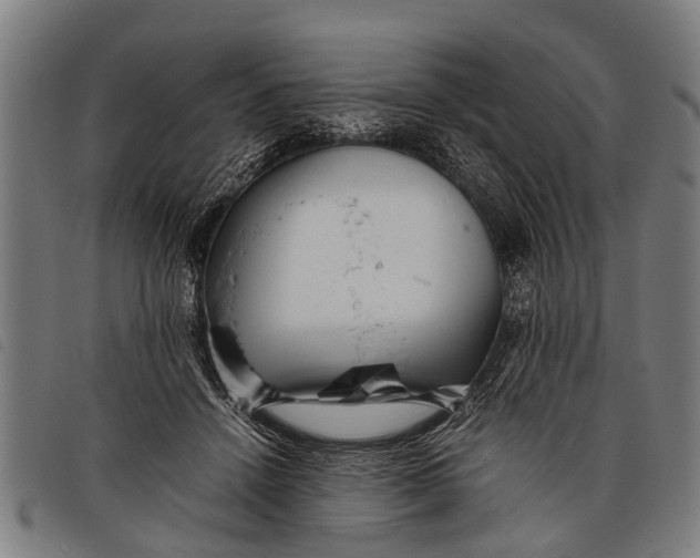 X0000097860456200804041532