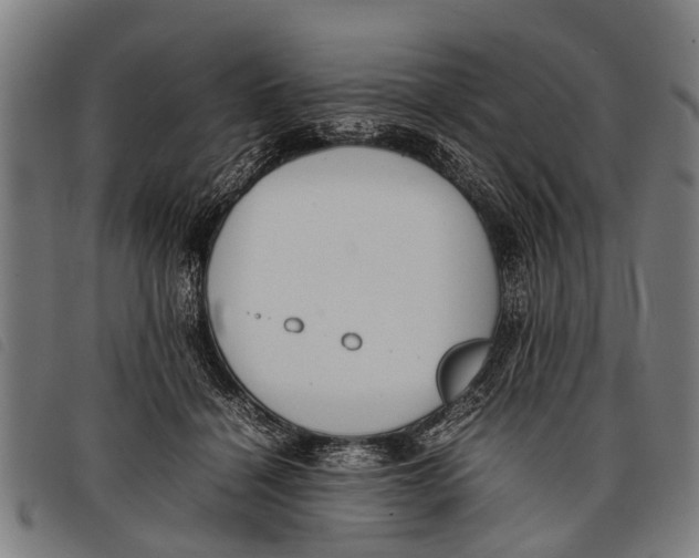 X0000097860460200804041532