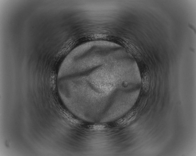 X0000097860462200804041532