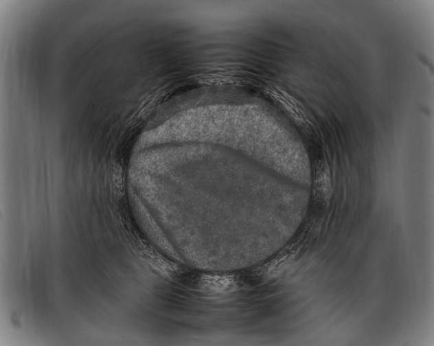 X0000097860469200804041532