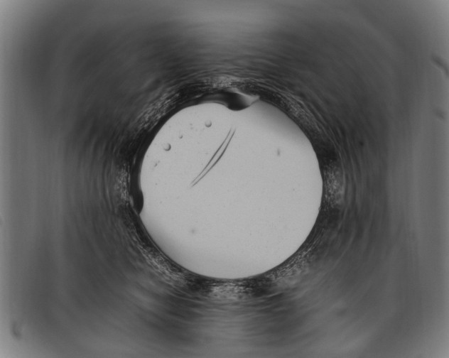 X0000097860470200804041532