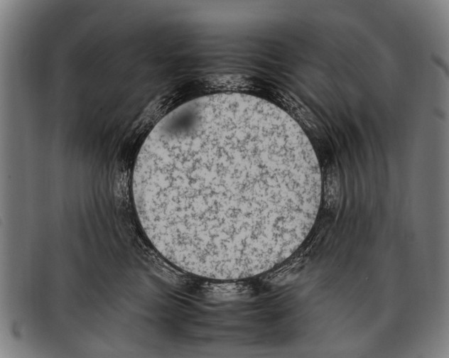 X0000097860473200804041532