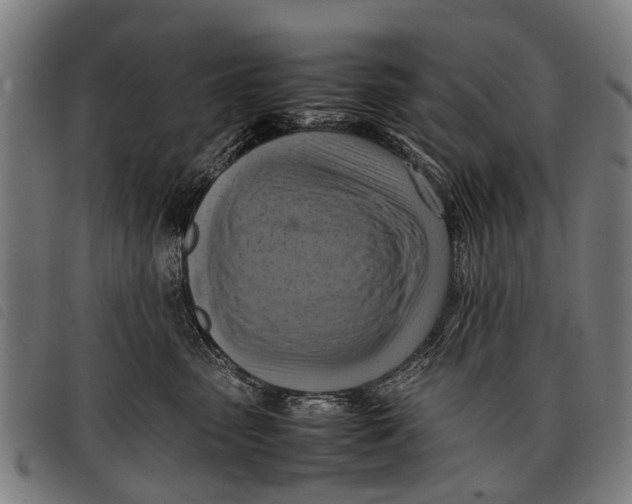 X0000097860475200804041532