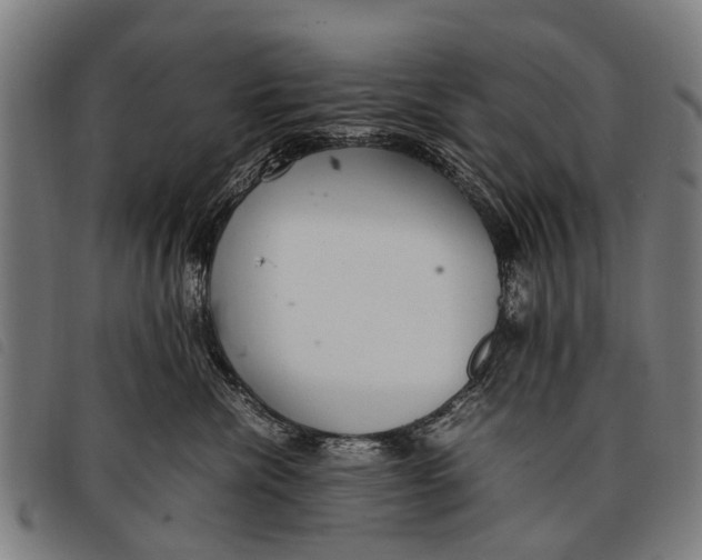 X0000097860476200804041532