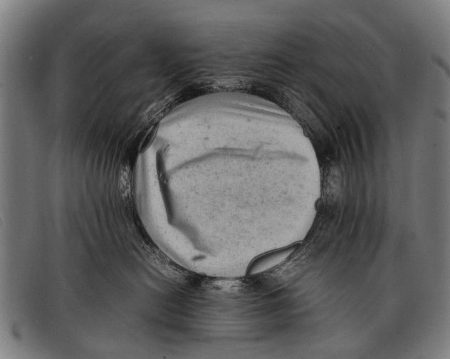 X0000097860478200804041532