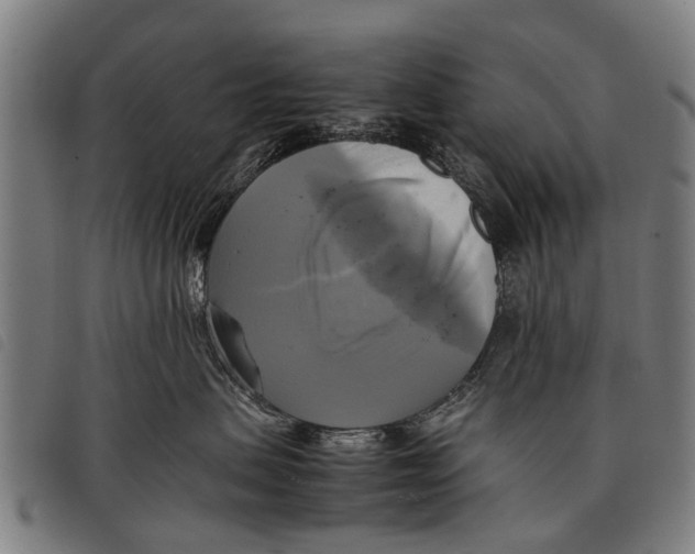 X0000097860479200804041532