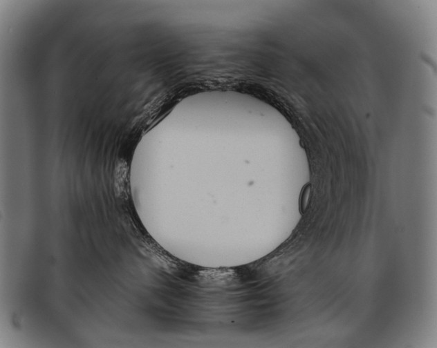 X0000097860480200804041532