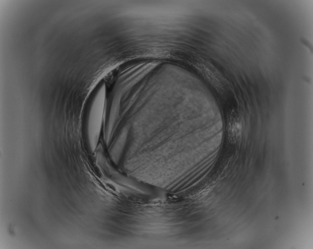 X0000097860484200804041532