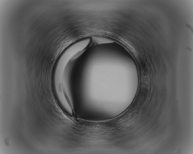 X0000097860485200804041532