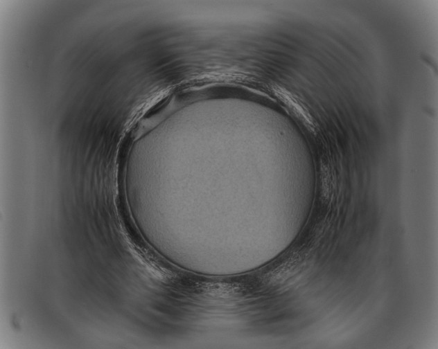 X0000097860486200804041532