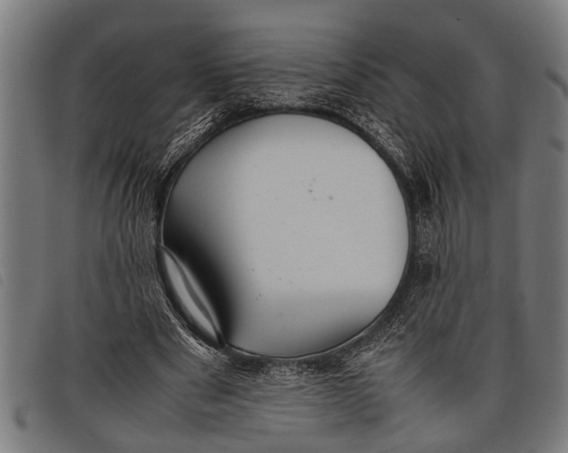 X0000097860489200804041532