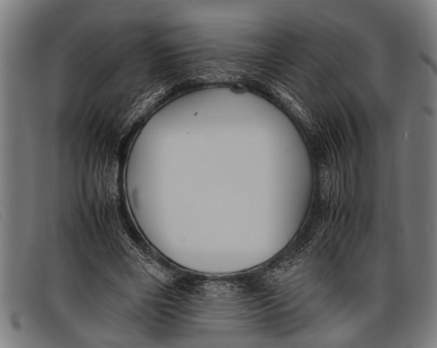 X0000097860490200804041532