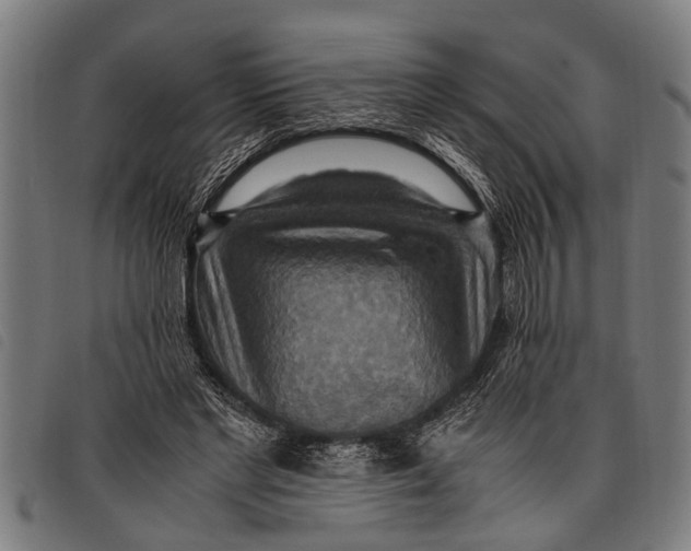 X0000097860493200804041531