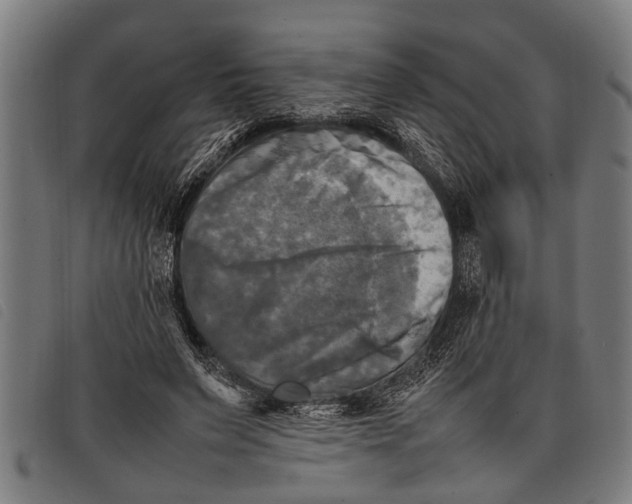 X0000097860495200804041531