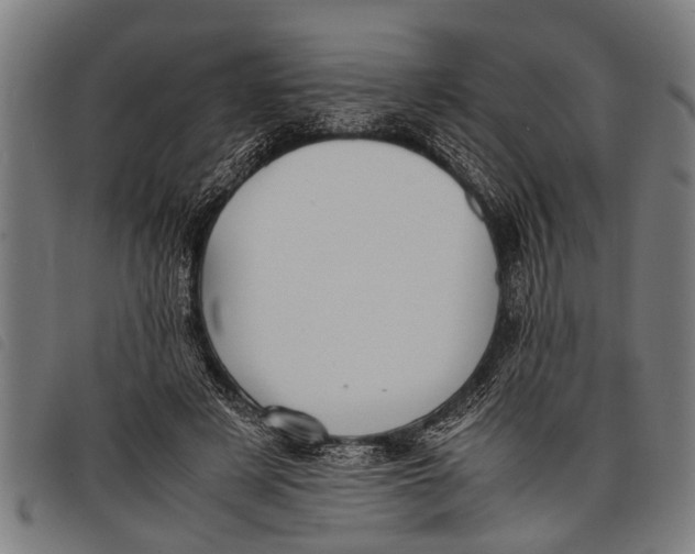 X0000097860497200804041531