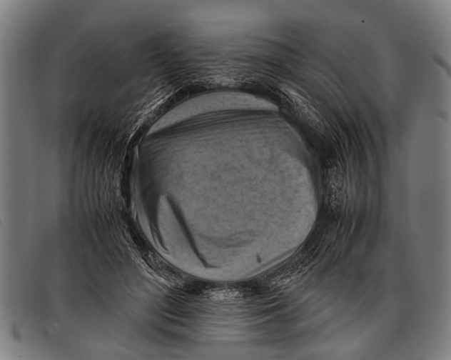 X0000097860500200804041531