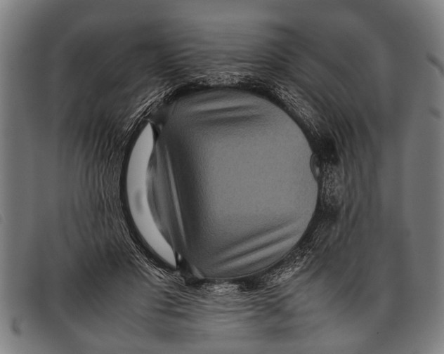 X0000097860501200804041531