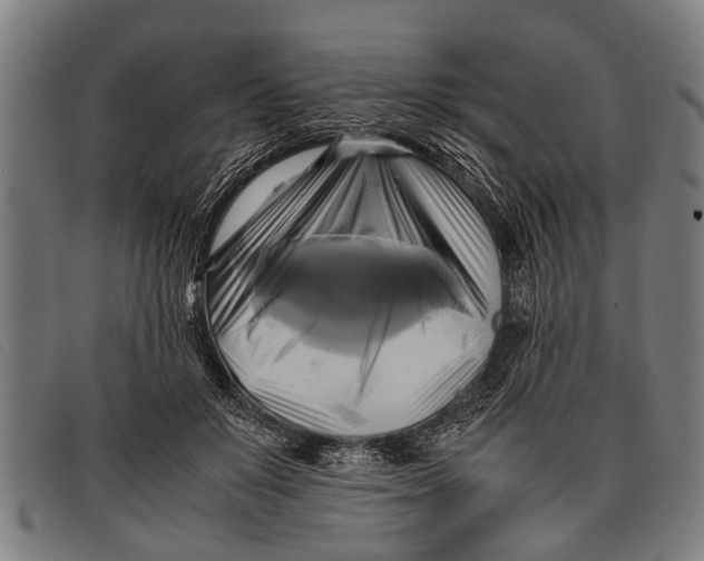 X0000097860503200804041531