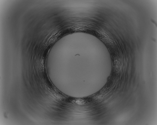 X0000097860506200804041531