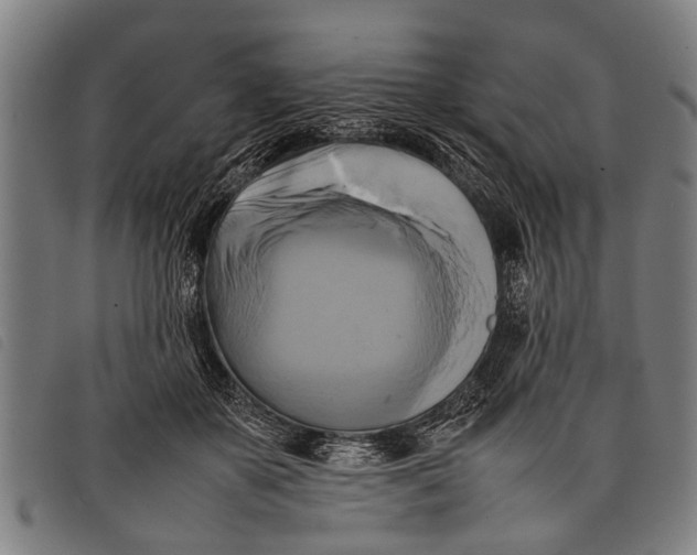 X0000097860507200804041531