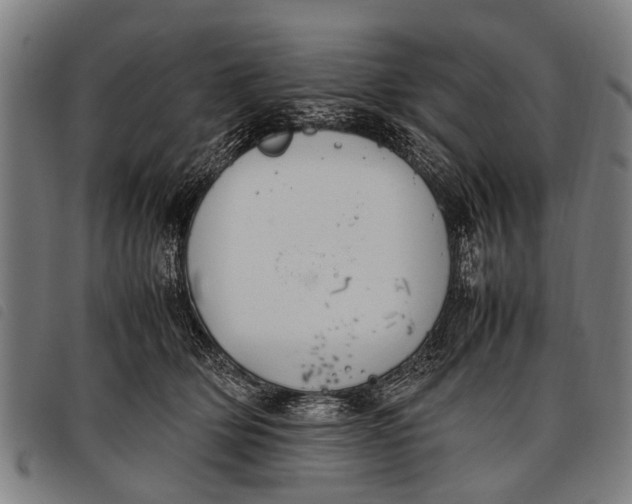 X0000097860514200804041531