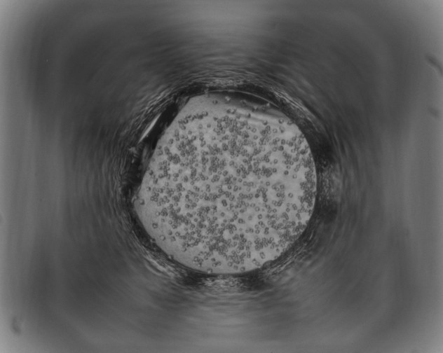 X0000097860517200804041531