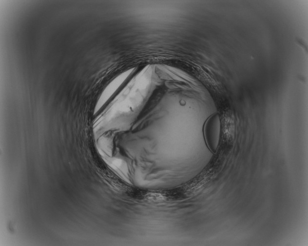 X0000097860519200804041531