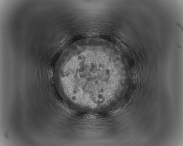 X0000097860523200804041531