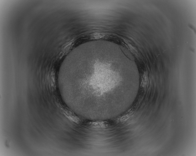 X0000097860524200804041531