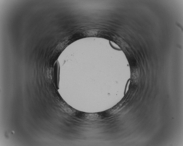 X0000097860525200804041531