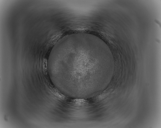 X0000097860528200804041531